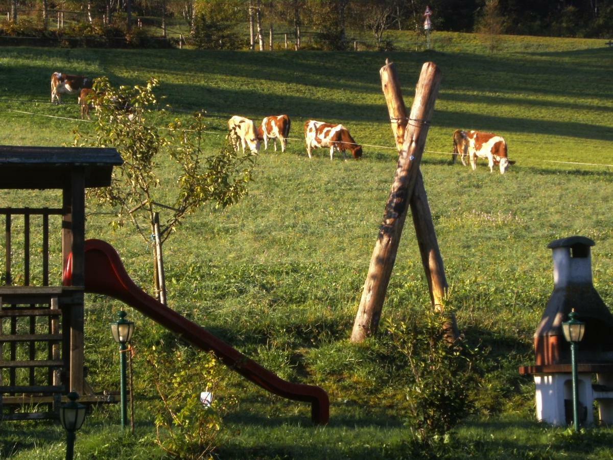 Vordersattlegghofhuette Villa Hüttau Eksteriør bilde