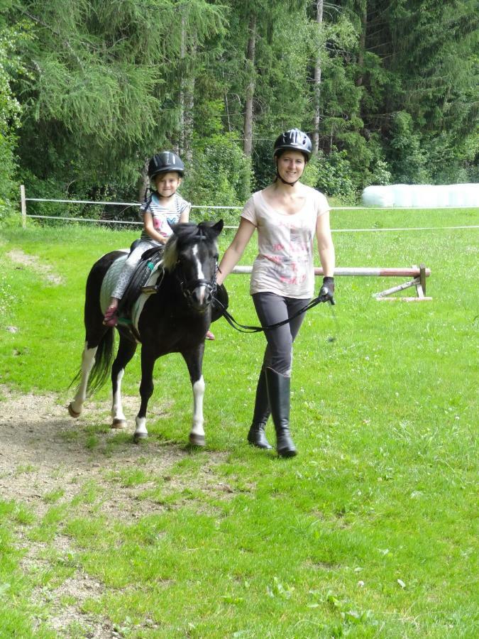 Vordersattlegghofhuette Villa Hüttau Eksteriør bilde
